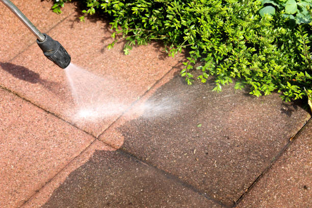 Best Roof Pressure Washing  in Racine, WI